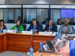 Pan-African Parliament urges unity to advance Africa’s Agenda 2063 aspirations 